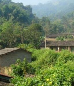 軒萊自然村 軒萊自然村