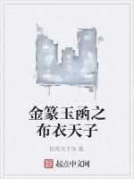 金篆玉函之布衣天子 金篆玉函之布衣天子