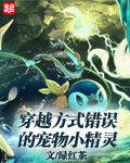 穿越方式錯誤的寵物小精靈 穿越方式錯誤的寵物小精靈