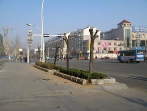 莊園街道 莊園街道