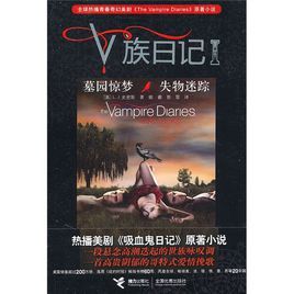 v族日記墓園驚夢失物迷蹤 v族日記墓園驚夢失物迷蹤
