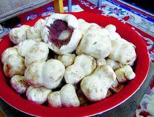 蒙古口蘑  李橋江 攝