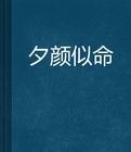 夕顏似命 夕顏似命