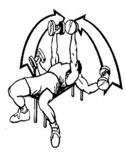 仰臥飛鳥 仰臥飛鳥