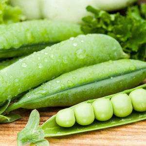 甜脆31號 甜脆31號