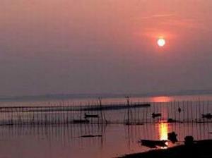 安徽升金湖國家級自然保護區