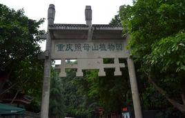 重慶照母山植物園 重慶照母山植物園