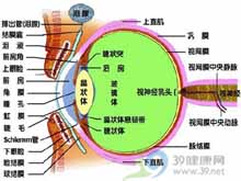 眼瞼皮膚弛緩症