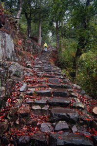 關山古道 關山古道