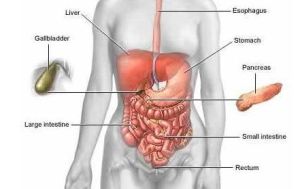 直腸腫瘤 直腸腫瘤