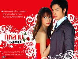 荊棘玫瑰 荊棘玫瑰