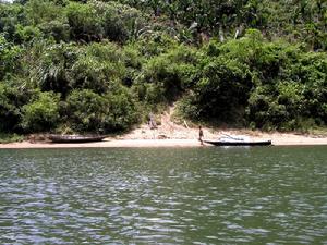 東寨港紅樹林海岸