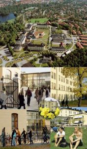 耶夫勒大學學院 耶夫勒大學學院