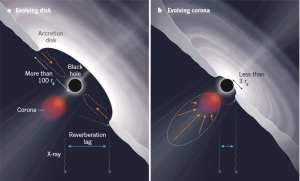 黑洞“吃星星”後吸積盤和光冕發生的變化