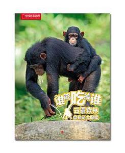 雲霧森林食物鏈大揭秘