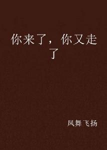 你來了,你又走了 你來了,你又走了