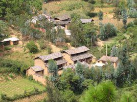 新華村[雲南省大理南澗縣擁翠鄉新華村委會]